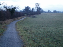 Image on trail